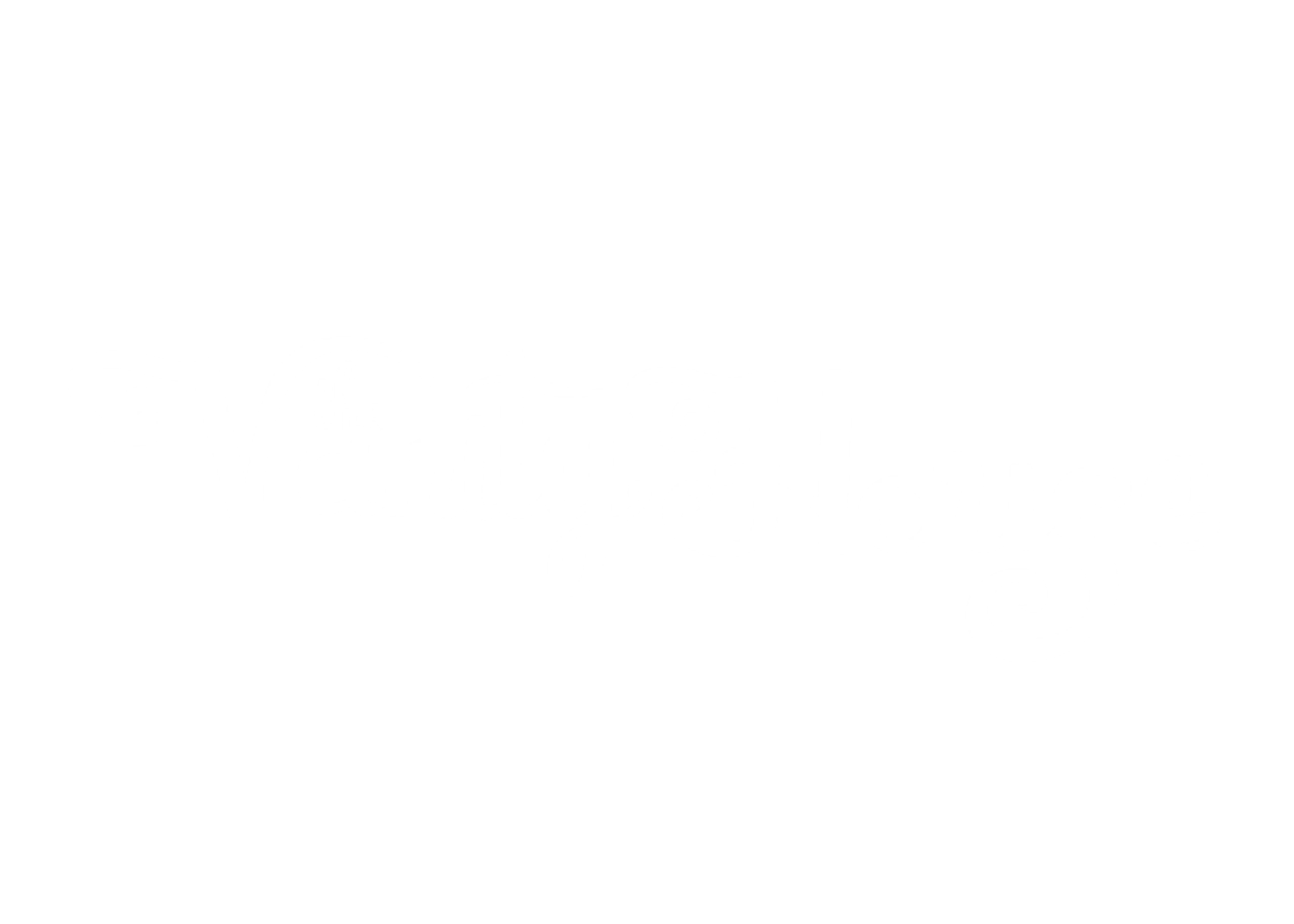 The Vanity House
